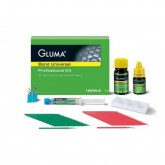 Адгезивная система Gluma Bond Universal Professional Kit