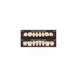 Зубы искусственные акриловые трехслойные Eray Deluxe (нижние)